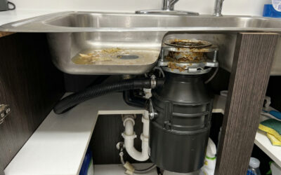 Dishwasher Not Draining: Easy Fixes for Disposal Connection Clogs