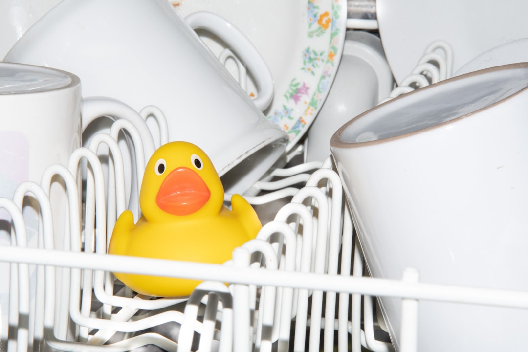 Troubleshoot Dishwasher Noise Problems for a Quieter Kitchen dishwasher making loud noise when running